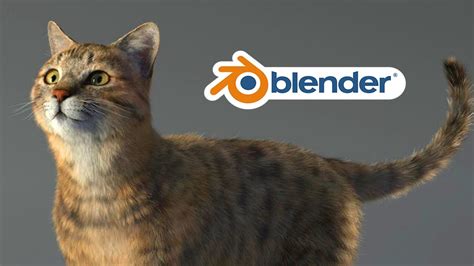 cat blender full video